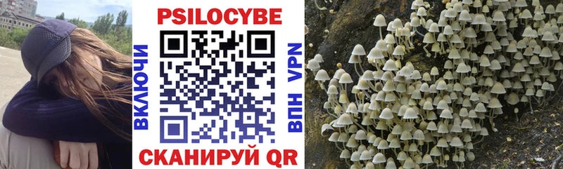 Псилоцибиновые грибы GOLDEN TEACHER  Новотитаровская 