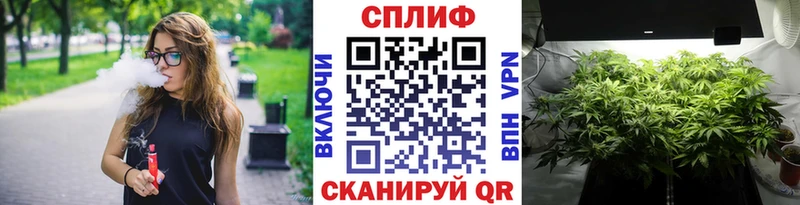 Марихуана индика  Новотитаровская 